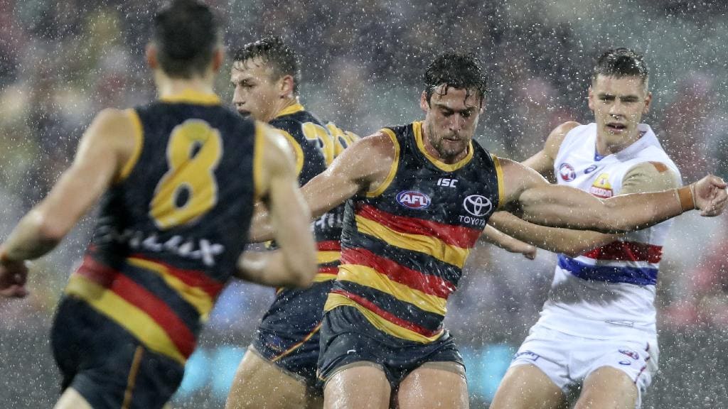 Crows raining