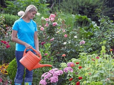 gardening injuries