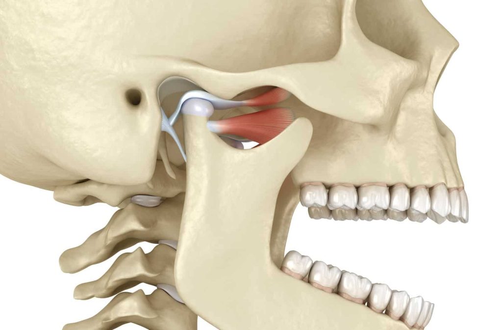 Jaw pain, TMJ, Physiotherapist, Physiotherapy, TMJ, Temporomandibular Joint, TMJ treatment, Treatment for jaw pain