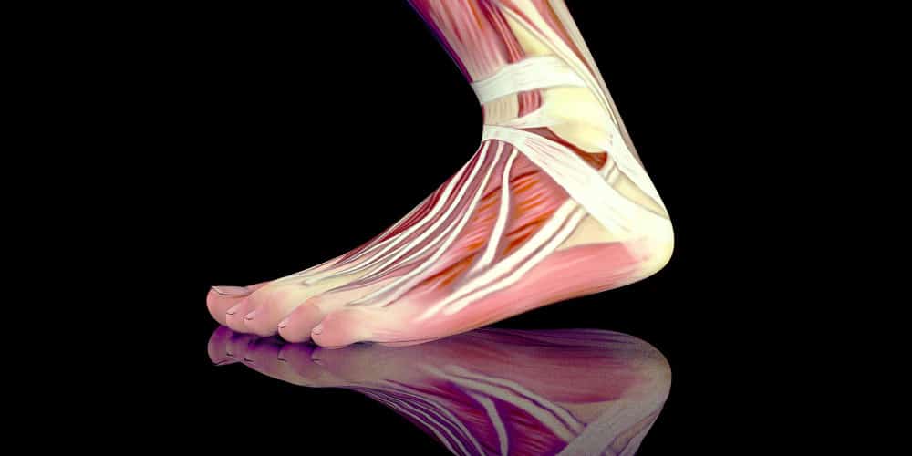 Foot health, feet health, Core physio, Physio near me, Plantar fasciitis, Foot muscles